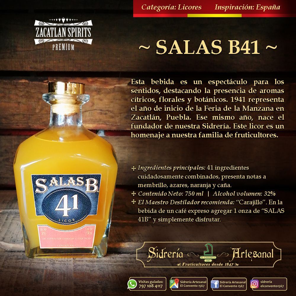 SALAS B41