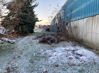 CDA junk removal customer has a ton of tree branches in the backyard