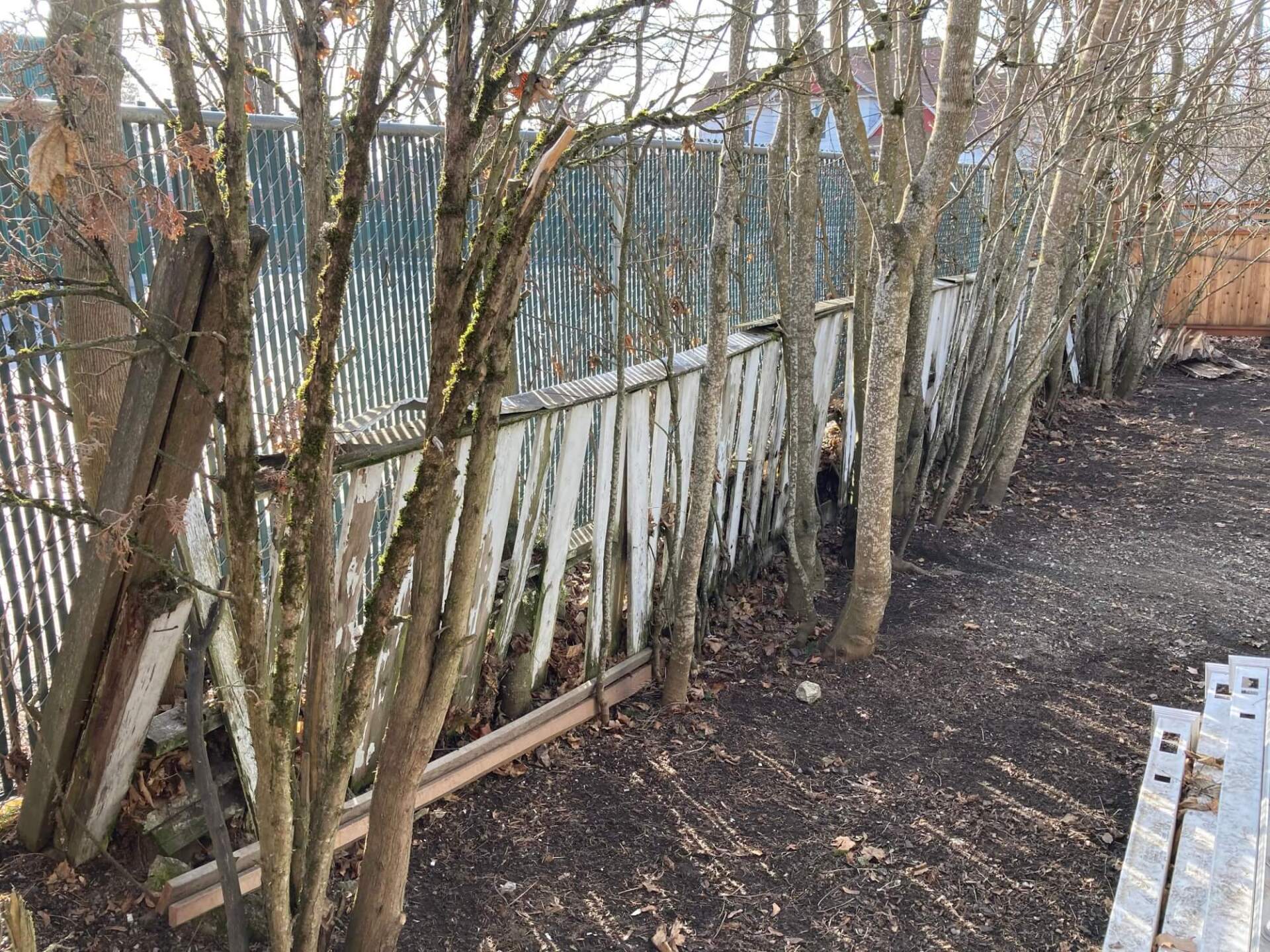 Happy CDA junk removal customers backyard free of leafs and junk
