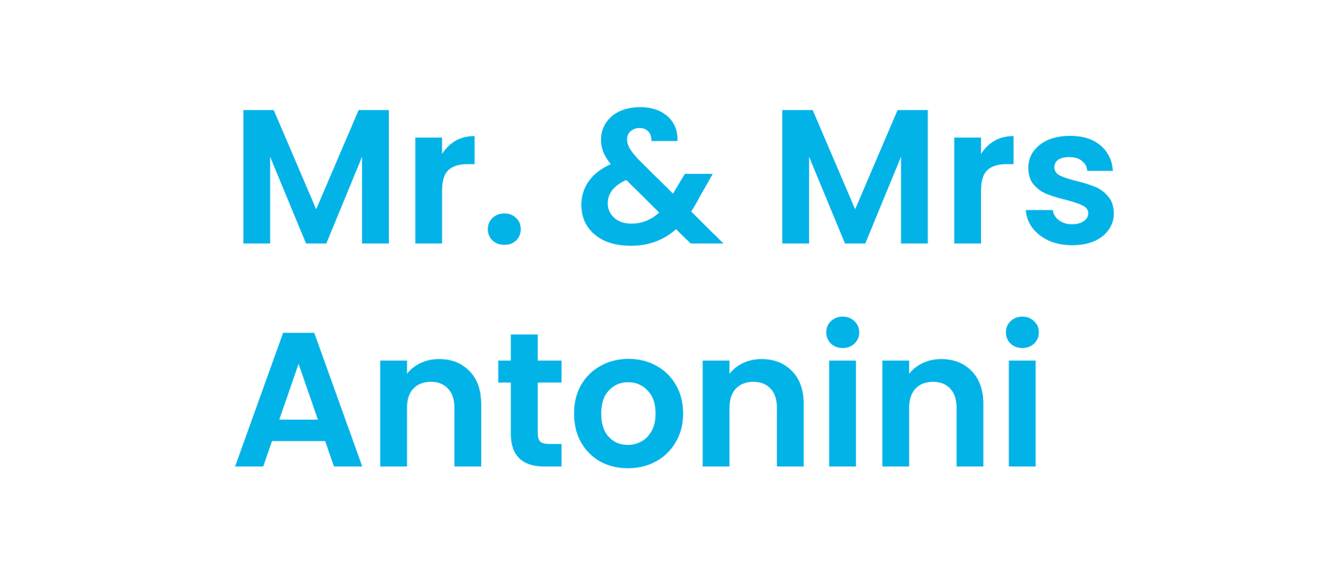 Blue text reading “Mr. & Mrs Antonini”