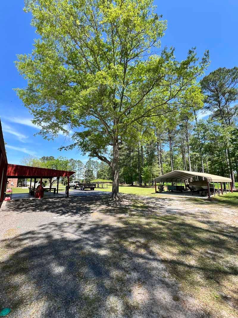 Tree-shaded park with gravel ground, picnic shelters, and bright blue sky