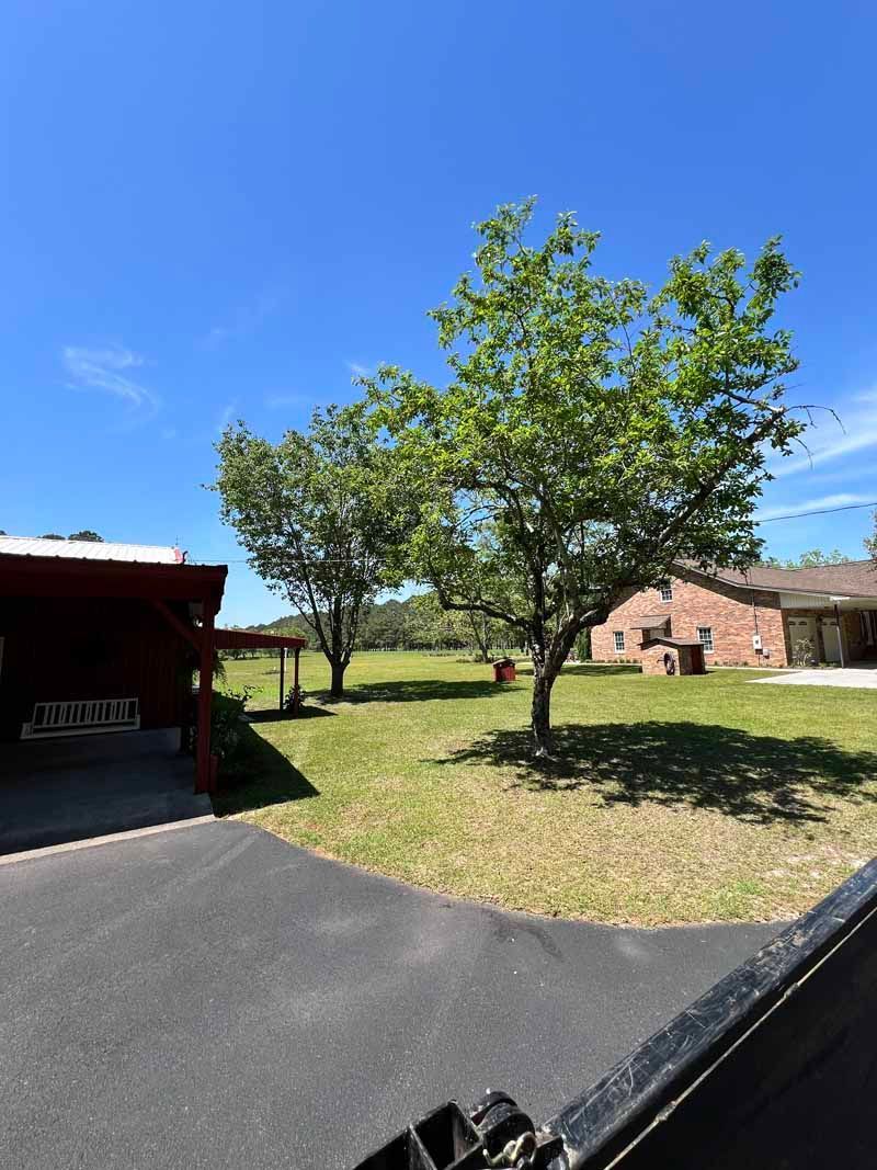 Sunny yard with two trees, paved driveway, grassy lawn, and a small brick building under blue sky