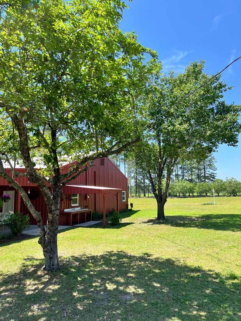 Red barn beside leafy trees in a sunny green field