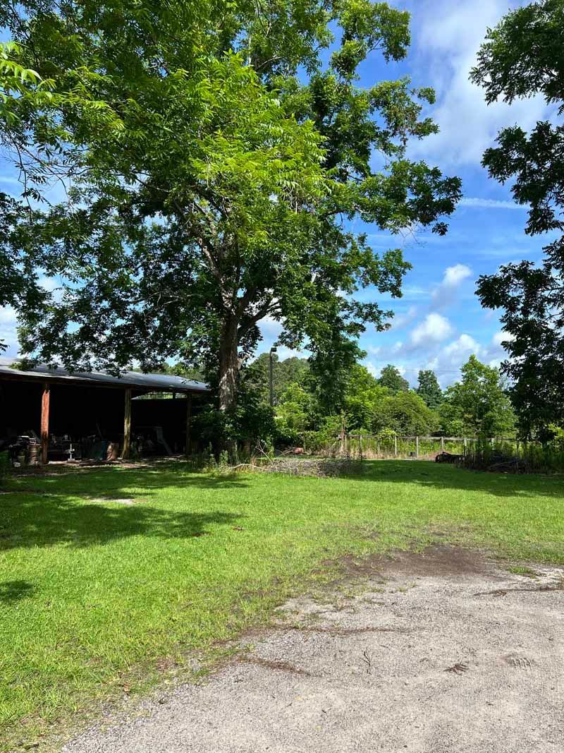 Sunny grassy yard with a large tree, gravel path, and a shaded open shelter on the left