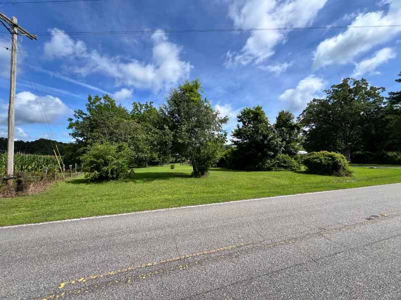 Quiet rural roadside with green trees and grass under a blue sky with clouds