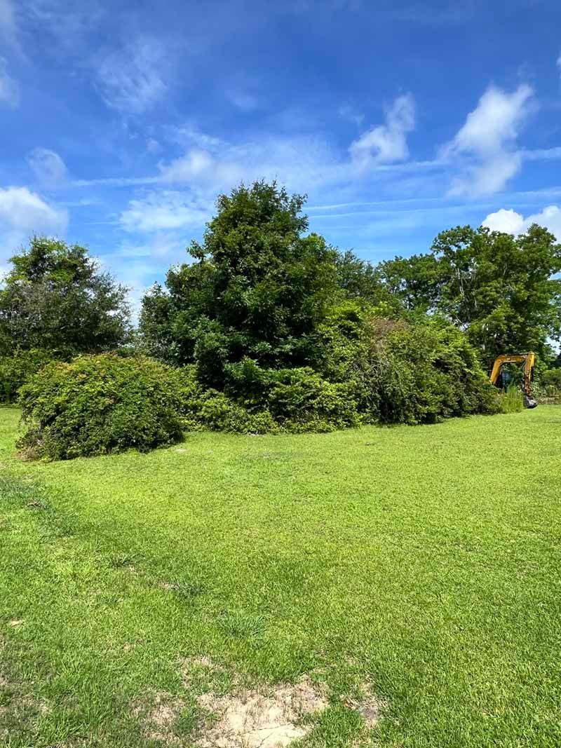 Green grassy field with bushes and trees under a bright blue sky with clouds