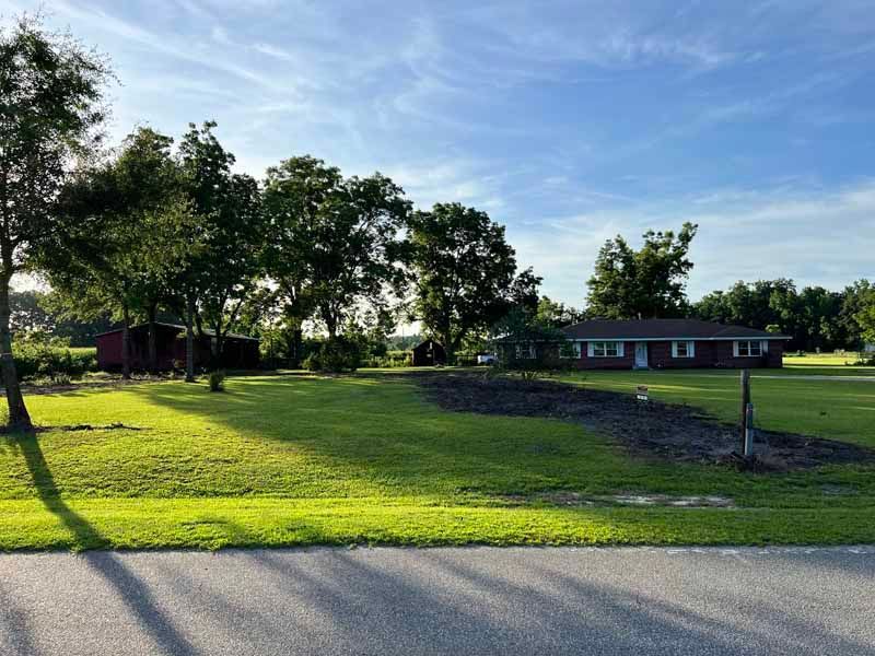 Sunny park with green lawn, trees, and a small building under a blue sky