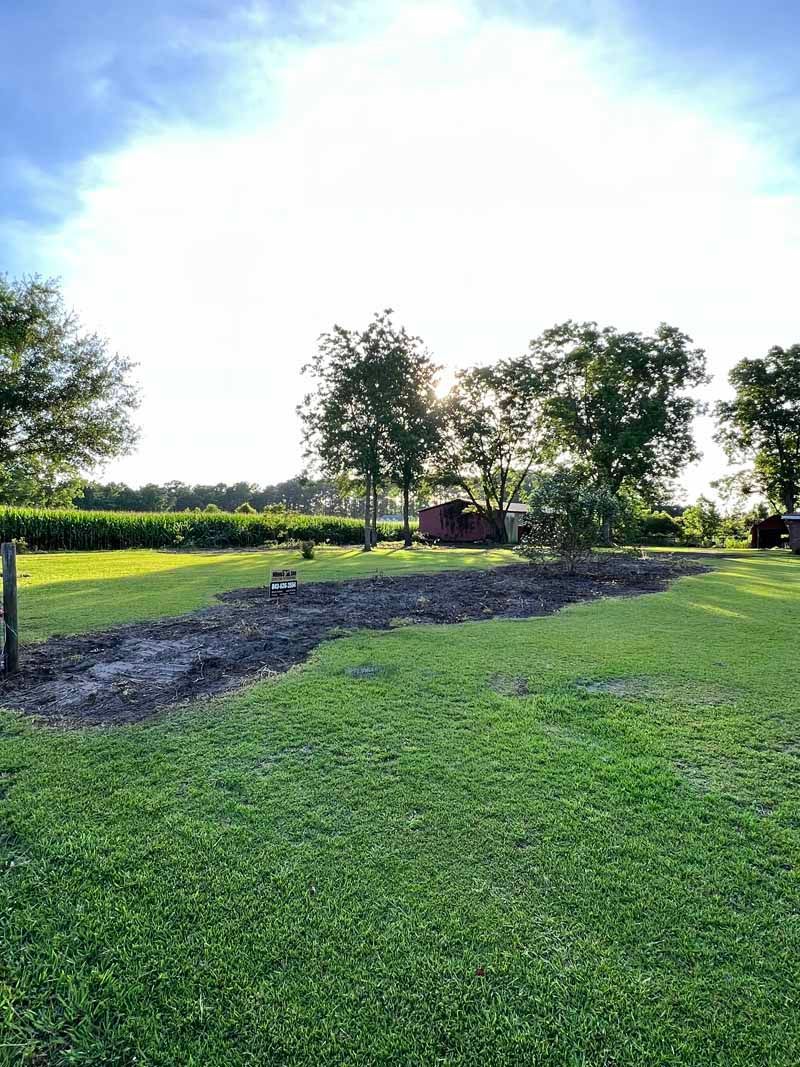 Grassy field with a small muddy pond, trees in the distance, and a bright blue sky