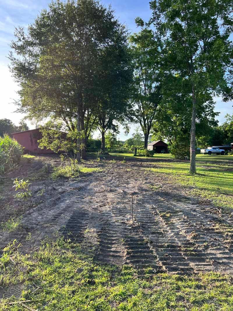 Sunlit gravel path beside trees and grass, with parked cars in the distance.