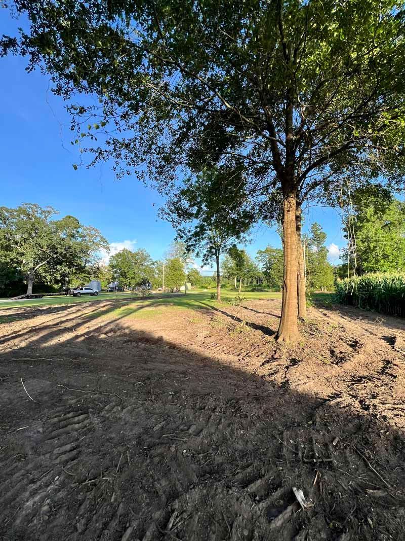 Sunlit dirt path beside grassy fields and trees under a clear blue sky