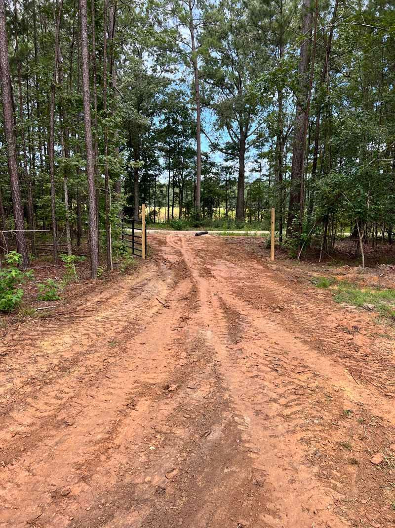 Sandy dirt road through a pine forest under a partly cloudy sky