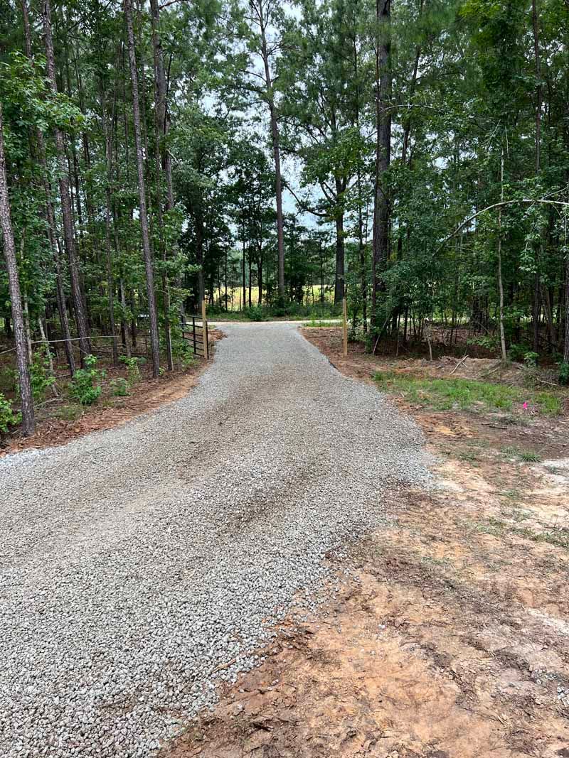 Gravel path winding through a wooded area with tall trees and green undergrowth