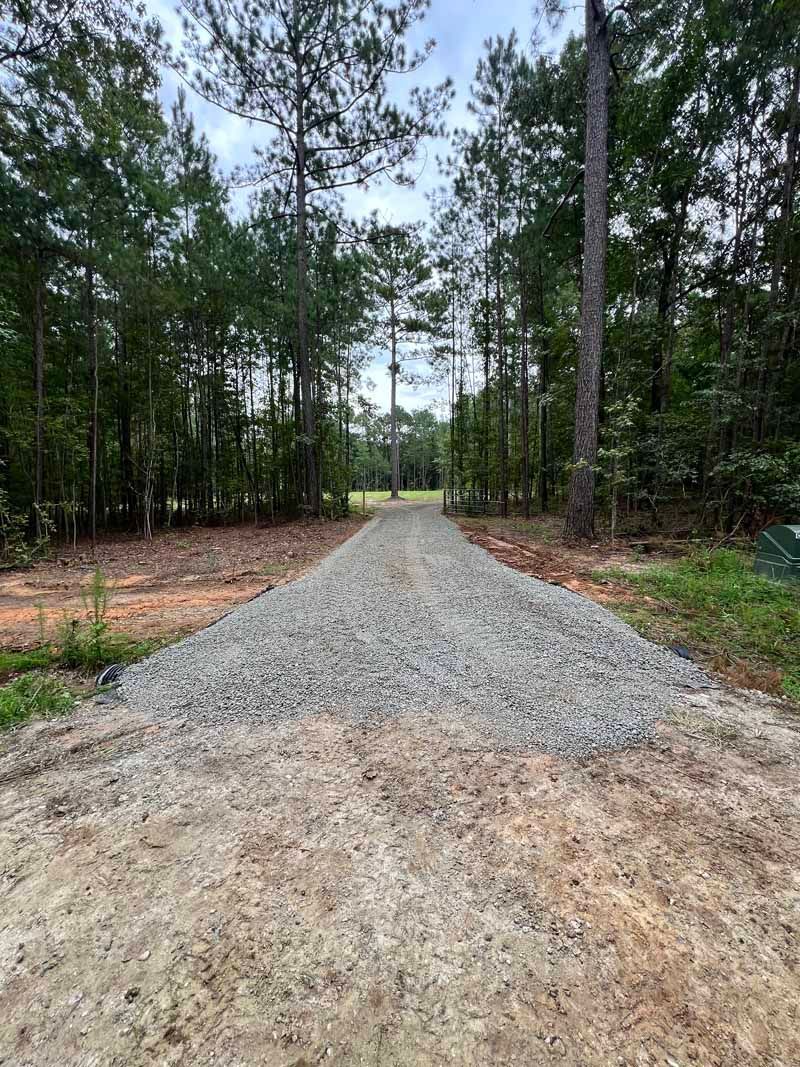 Gravel driveway through a wooded area, with tall trees lining both sides