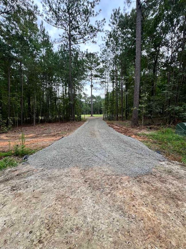 Gravel driveway leading into a wooded area with tall trees on both sides