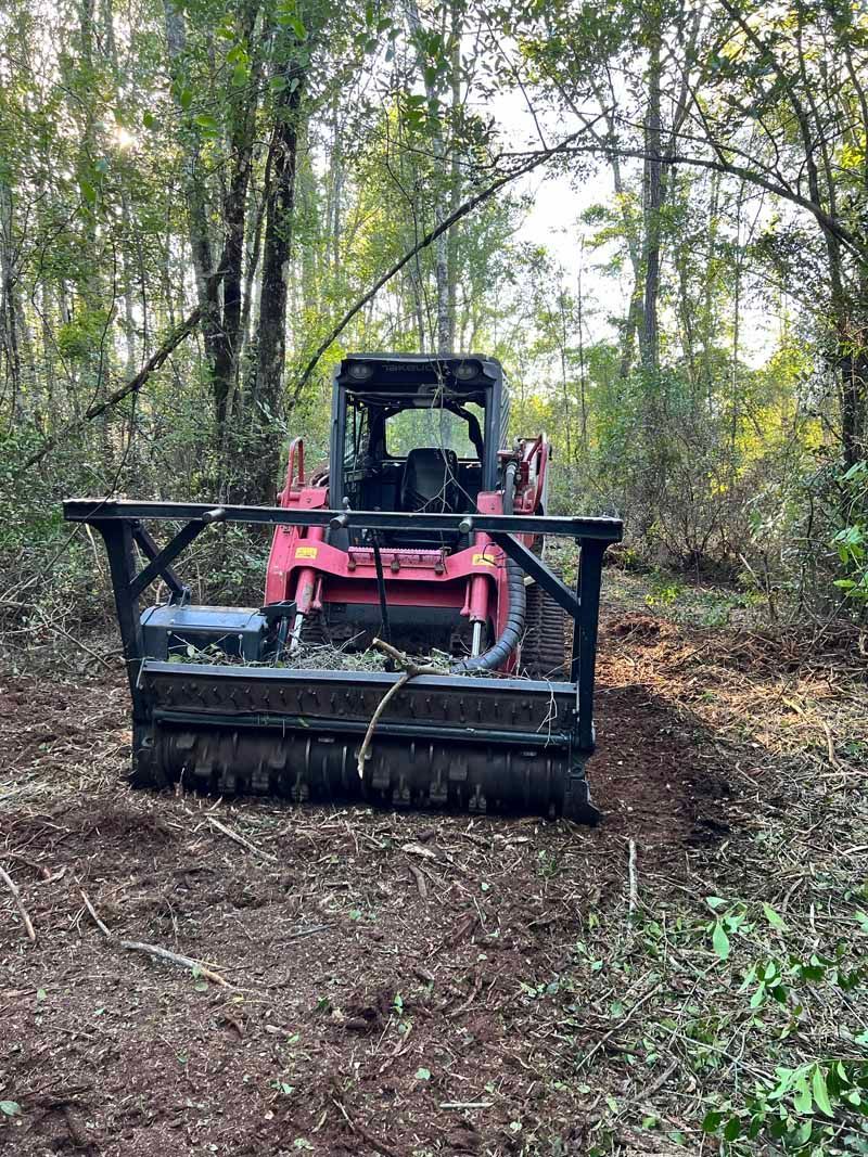 Red tractor with a forestry mulcher clearing brush in a wooded area