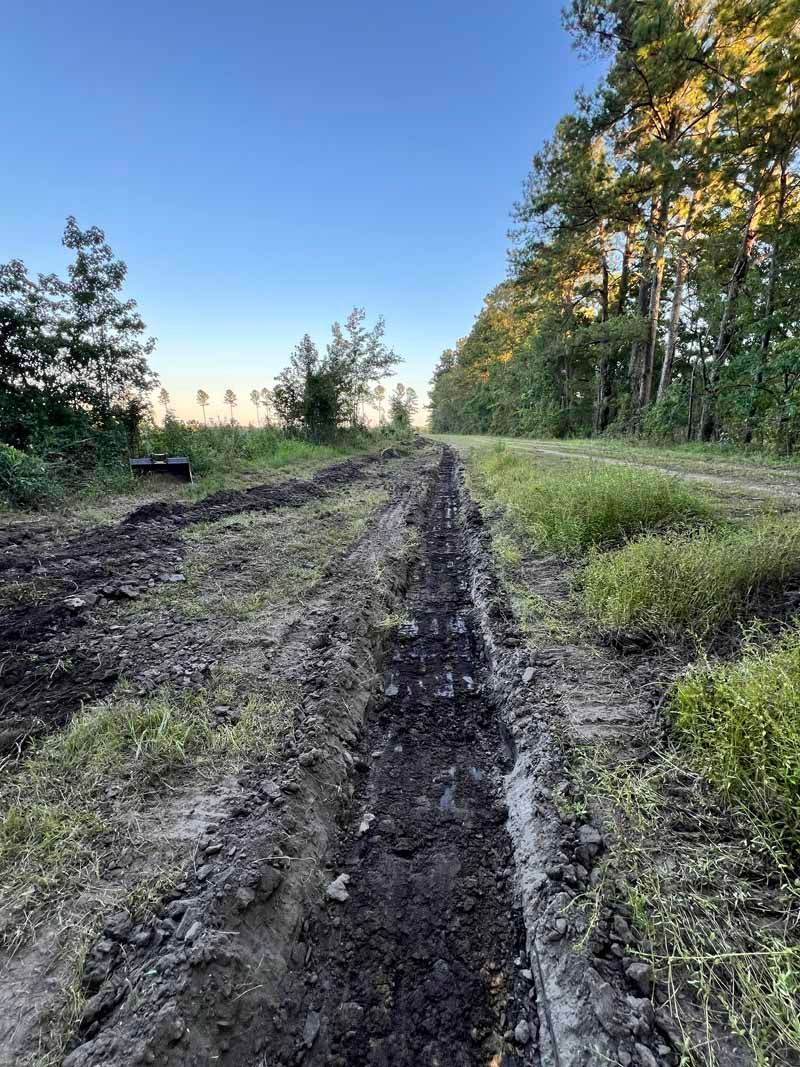 Muddy dirt road through a grassy forest under a clear blue sky at sunset