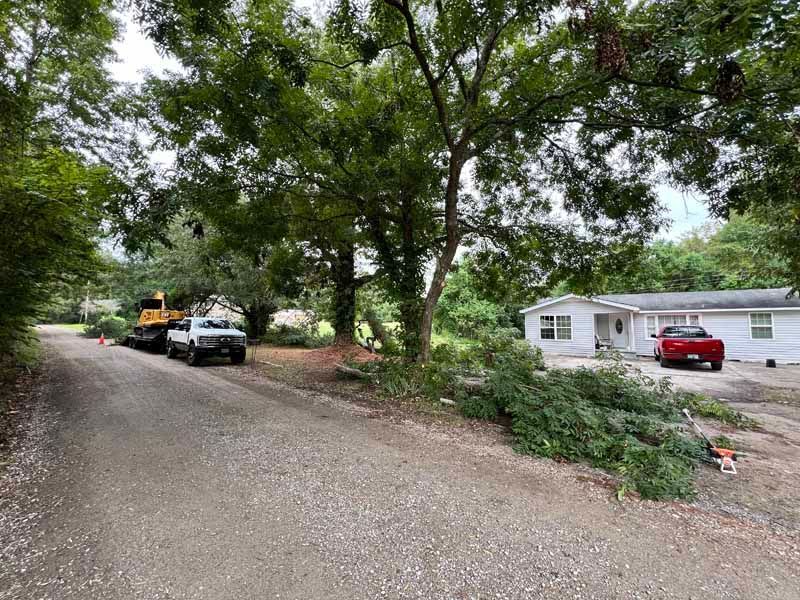 Gravel driveway beside a white house, with parked vehicles and large trees overhead.