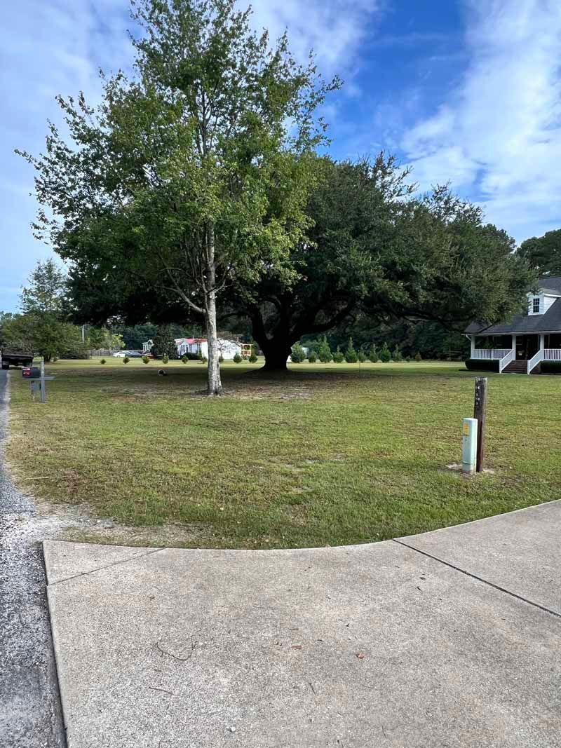 Grassy yard with a large tree, sidewalk in front, and houses in the background under a cloudy sky