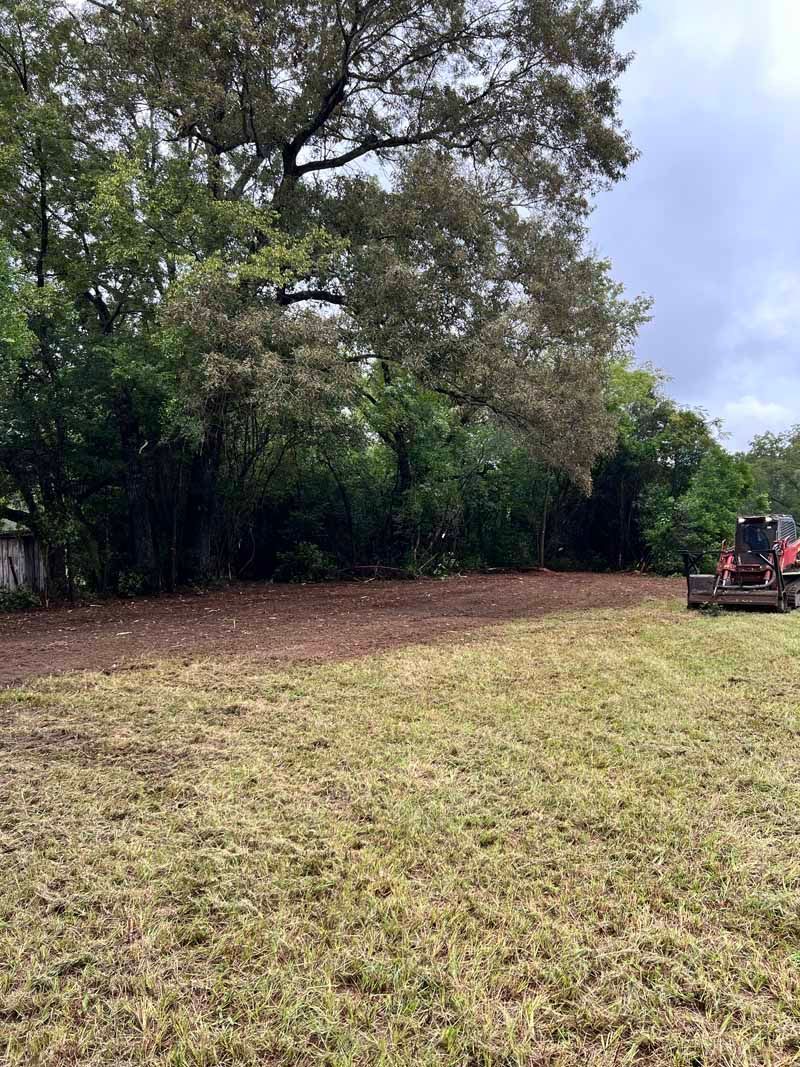 Cleared grassy field beside dense trees, with a small tractor mowing on the right.