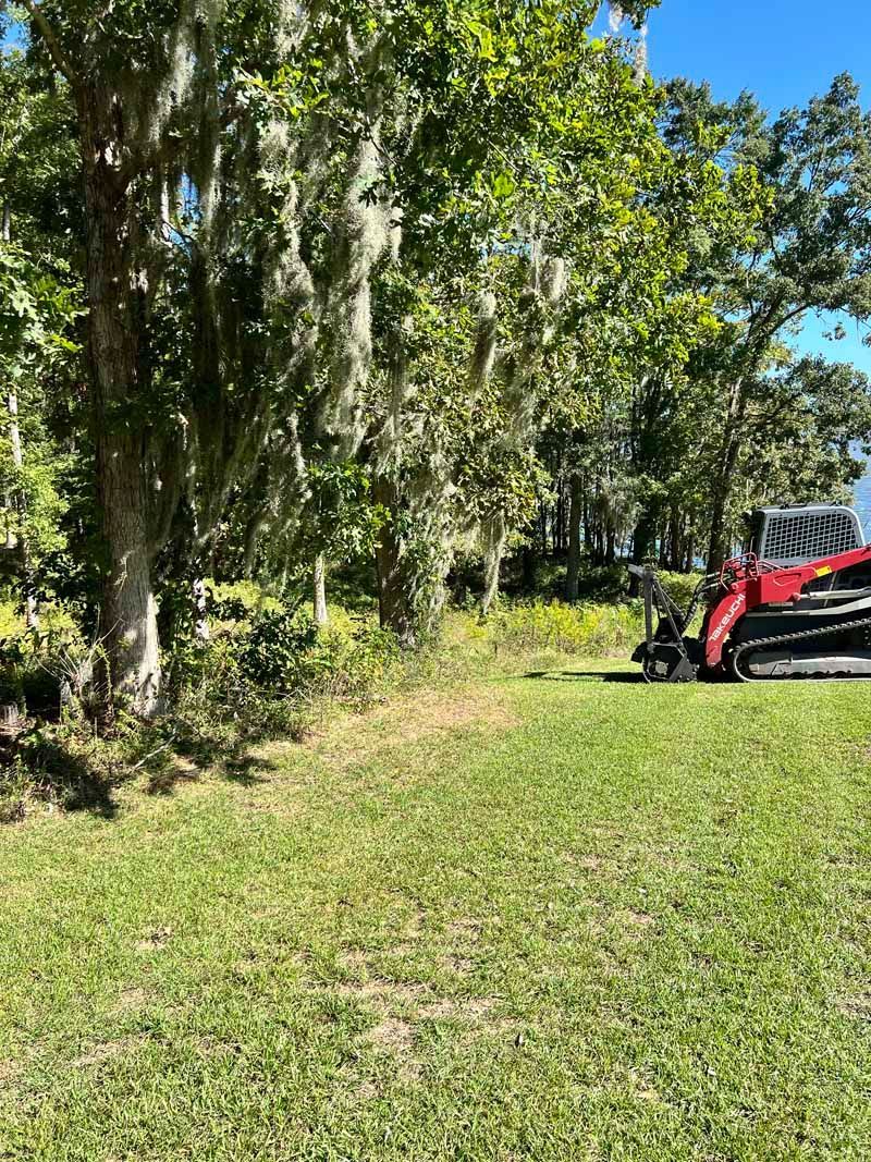 Grassy path beside tall trees with Spanish moss and a red tractor on the right under a blue sky
