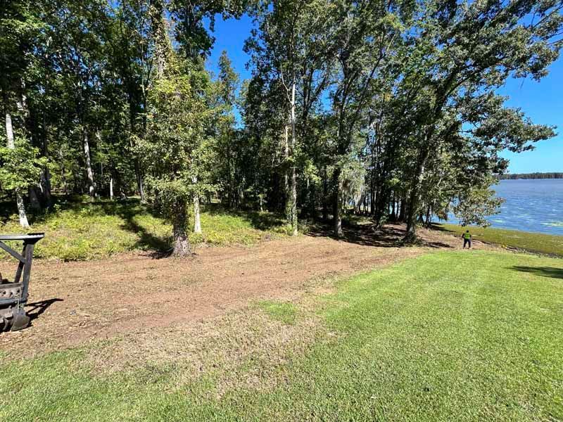 Grassy lakeside yard with trees and a blue lake under a clear sky