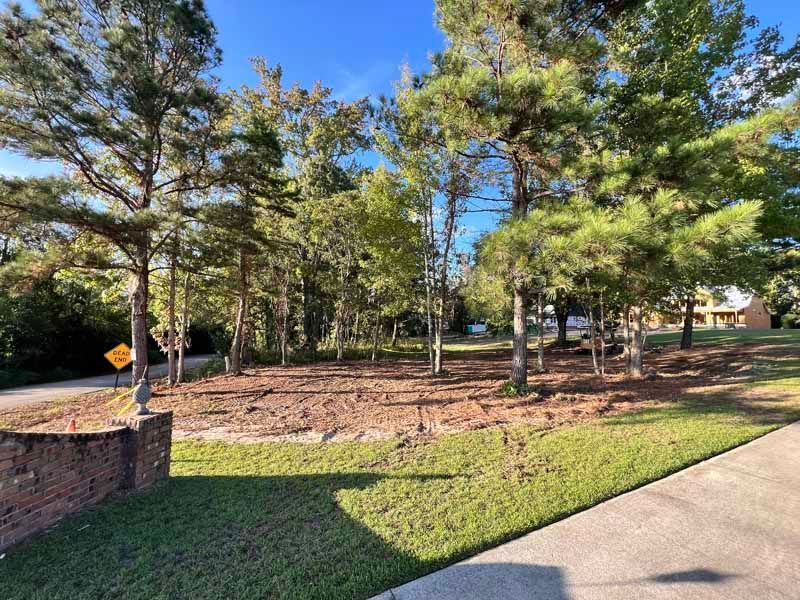 Tree-lined landscaped area beside a sidewalk on a sunny day