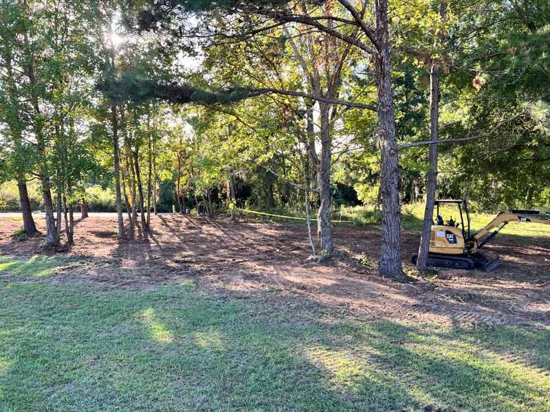 Wooded backyard with scattered trees, grassy clearing, and a small yellow tractor at right.