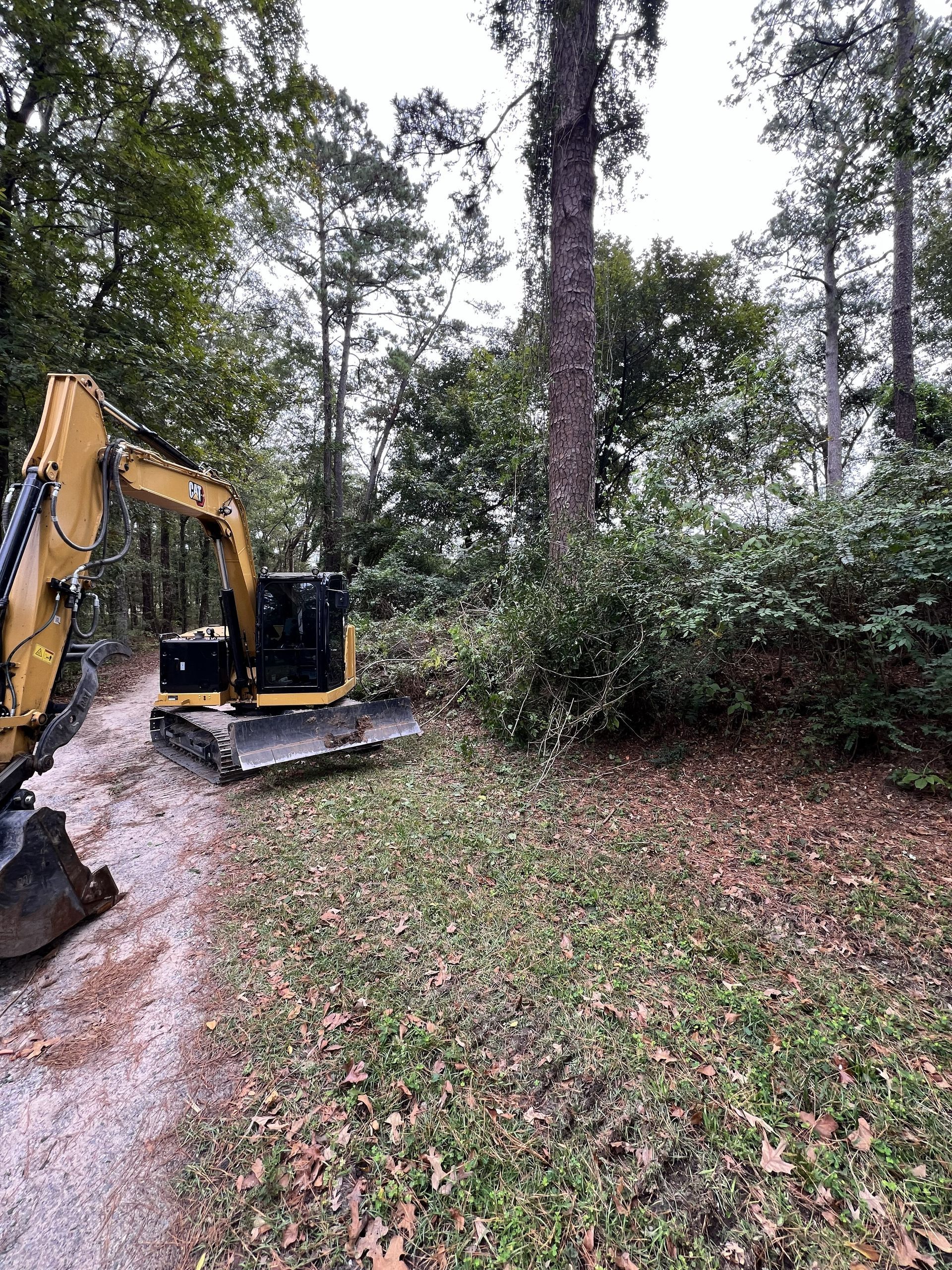 Yellow excavator clearing brush along a wooded path beside a grassy slope.