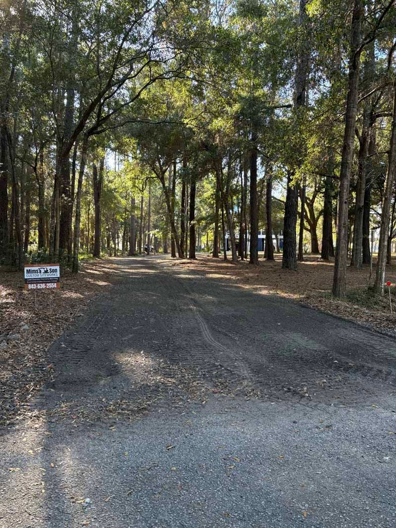 Gravel road winding through a wooded area with tall trees and dappled sunlight