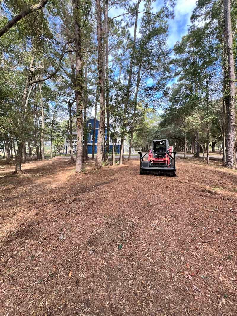 Red tractor driving down a leaf-covered path through tall trees in a wooded area.