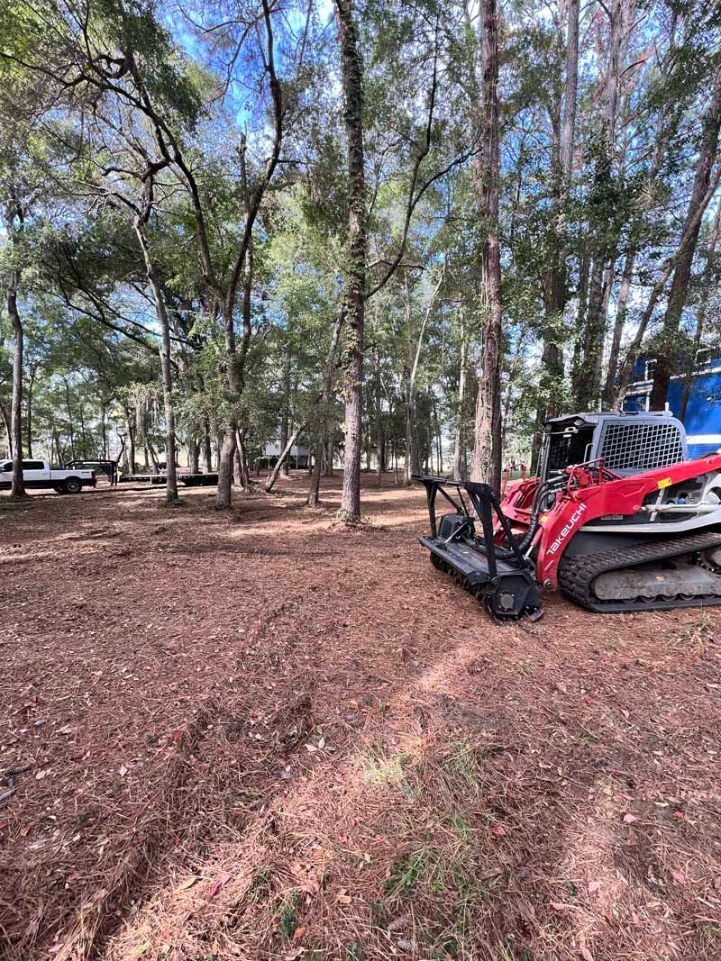 Red compact track loader in a wooded clearing with fallen leaves and trees in the background