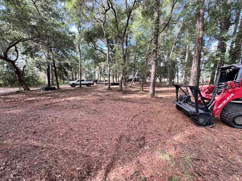 Wooded park clearing with scattered trees and a red tractor at the right edge