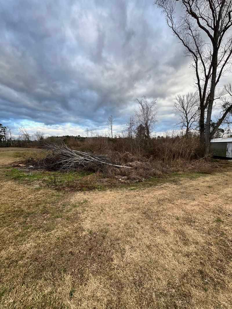 Overgrown field with brush piles, leafless trees, and a cloudy sky near a small shed