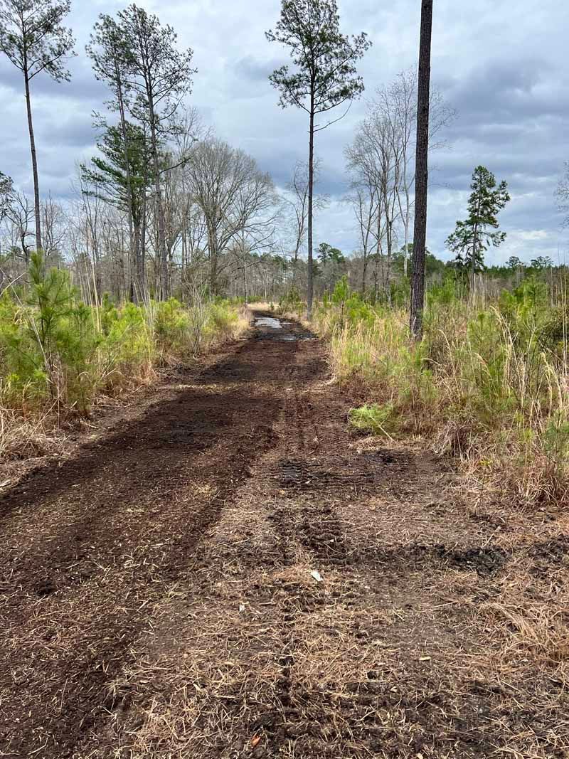Dirt road through a sparse wooded area under a partly cloudy sky, with a vehicle in the distance.
