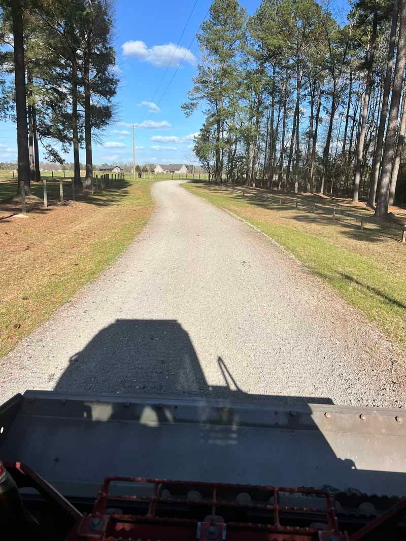 Gravel road ahead through pine trees on a sunny day, viewed from a vehicle.