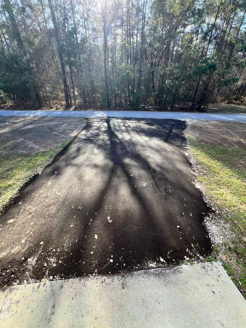Freshly patched asphalt driveway leading to a road, with trees and long shadows in sunlight
