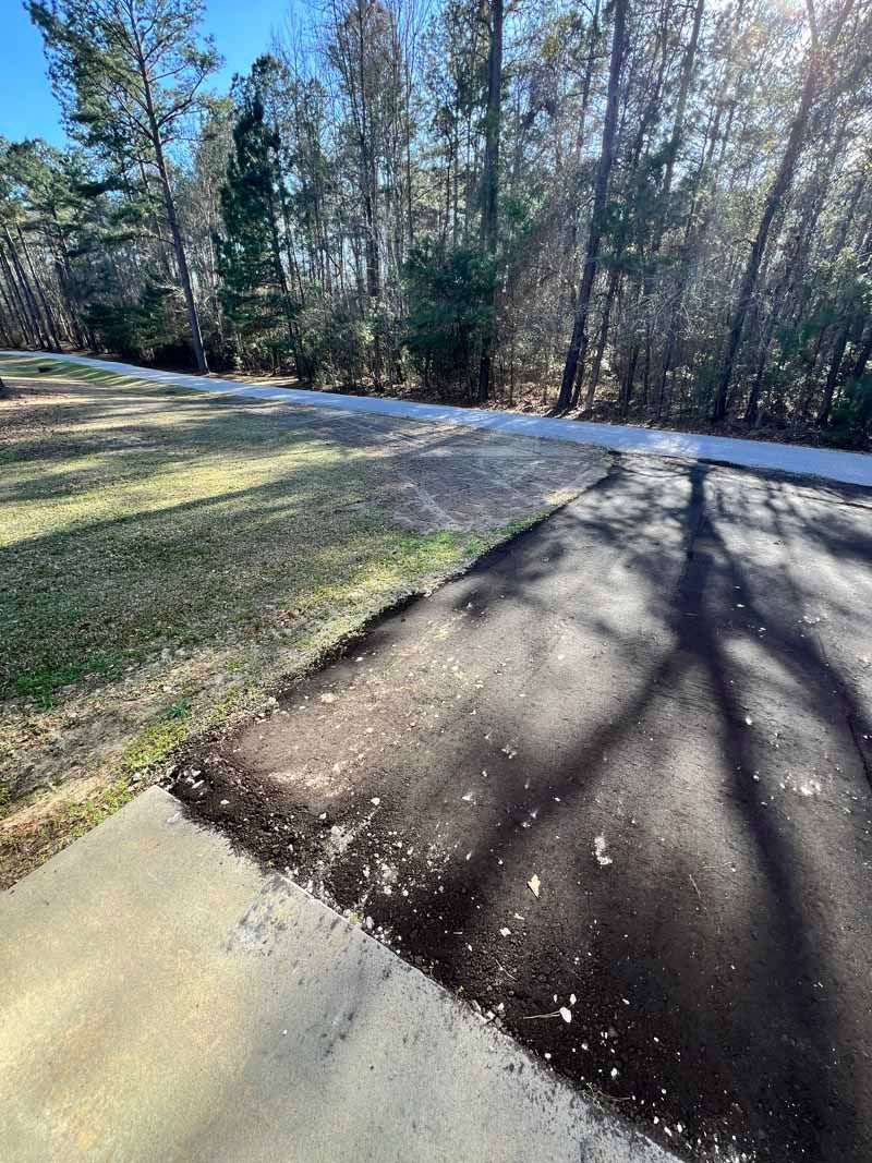 Sunny paved path beside grassy yard and leafless trees casting long shadows