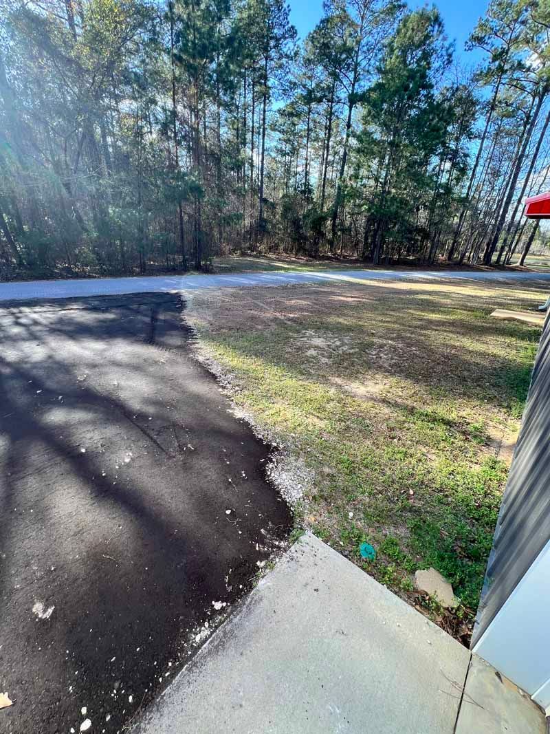 Driveway and wooded yard in bright sunlight beside a house, with a concrete walkway and paved road.