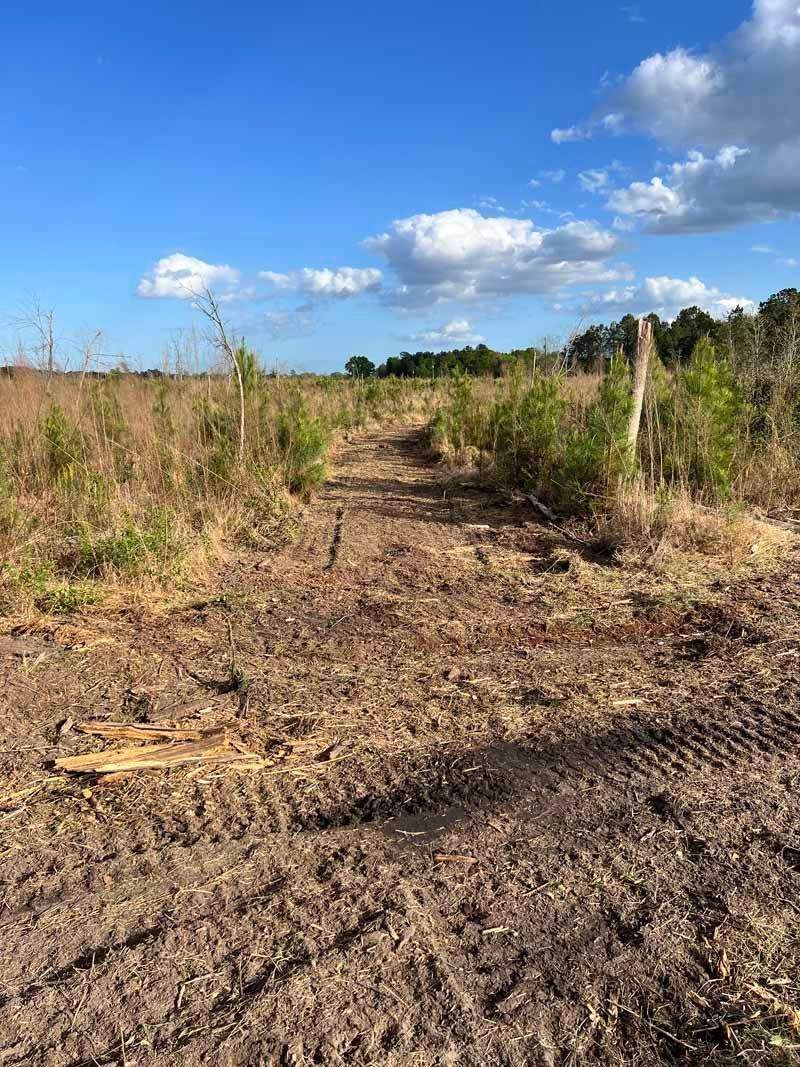 Dirt path through dry grass under a blue sky with scattered clouds