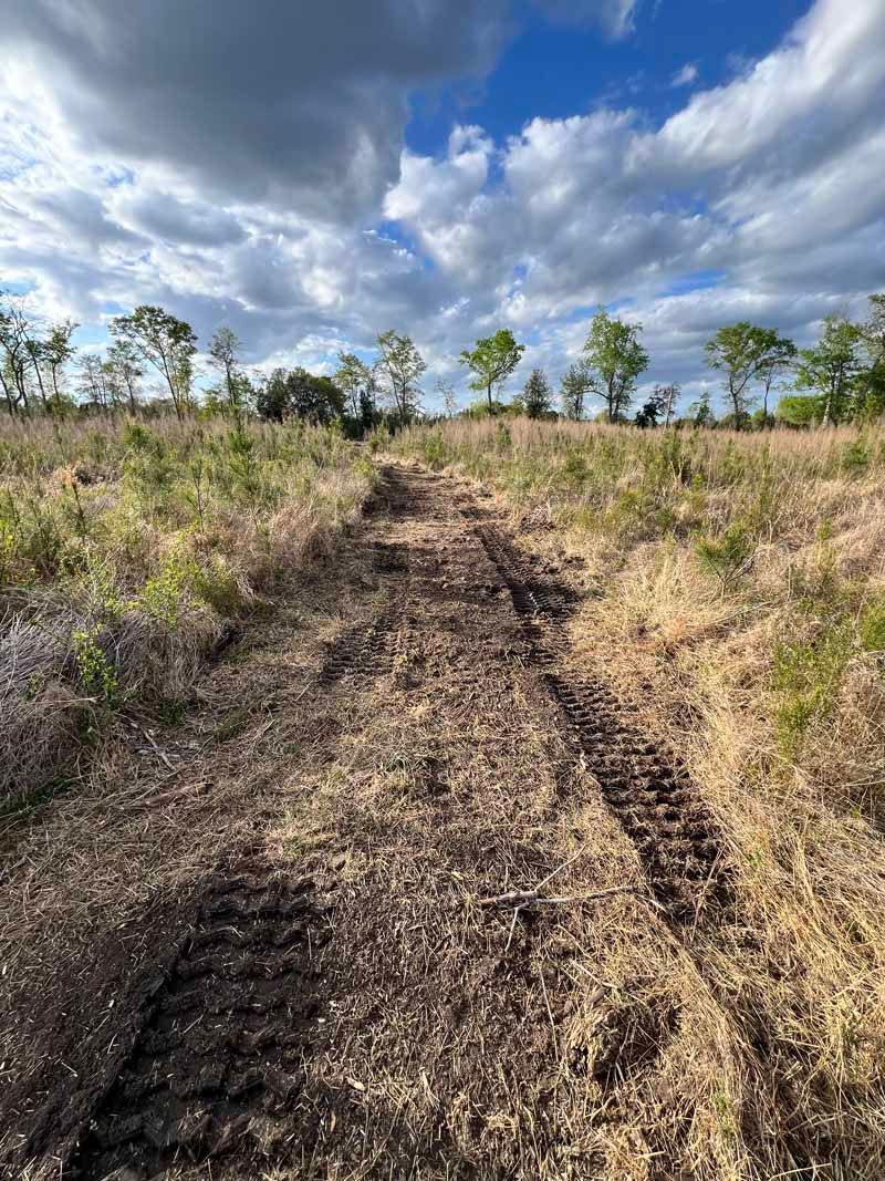 Dirt track through dry grassland under a cloudy sky, with sparse trees in the distance.