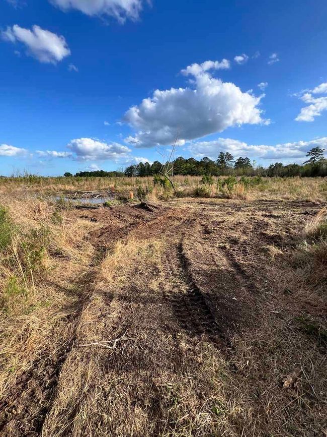 Rutted dirt path through dry field under a bright blue sky with scattered clouds