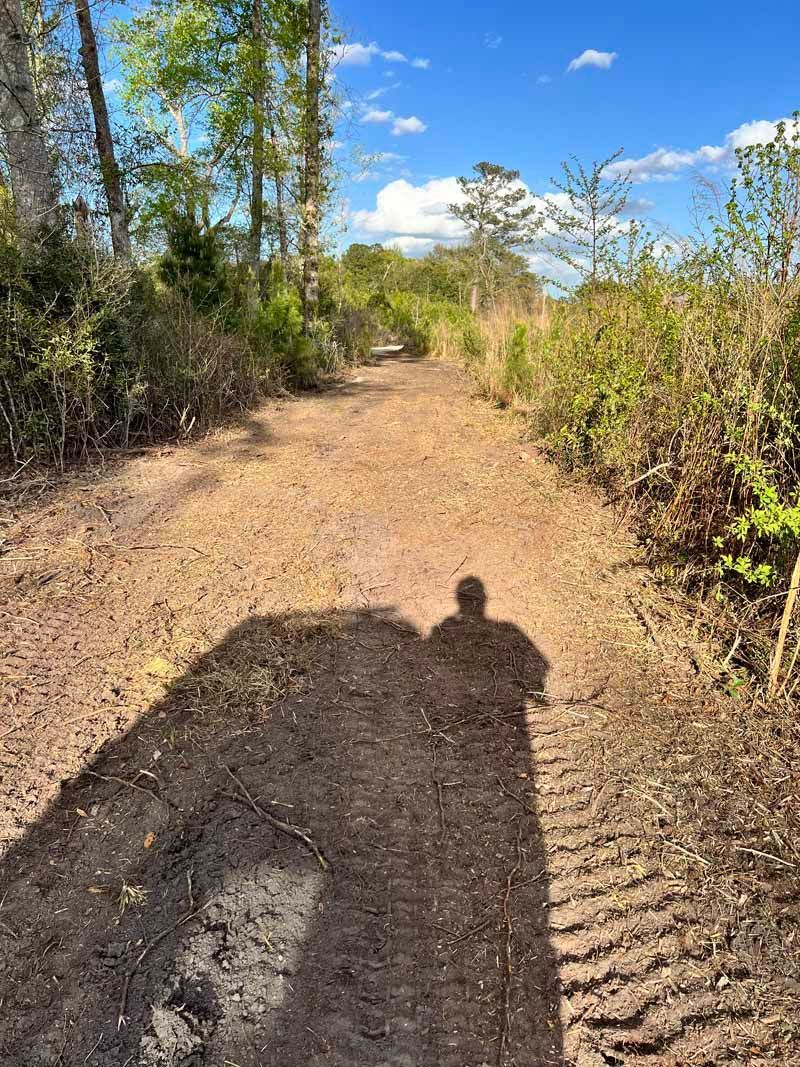Sunlit dirt trail through dry brush and trees, with a person’s shadow in the foreground.