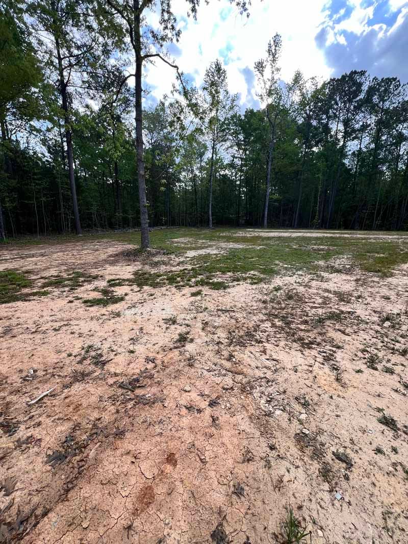 Cleared sandy field at the edge of a dense forest under a partly cloudy sky