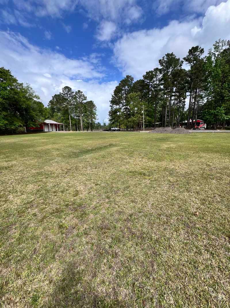 Grassy field under a blue sky with clouds, bordered by trees and small buildings in the distance
