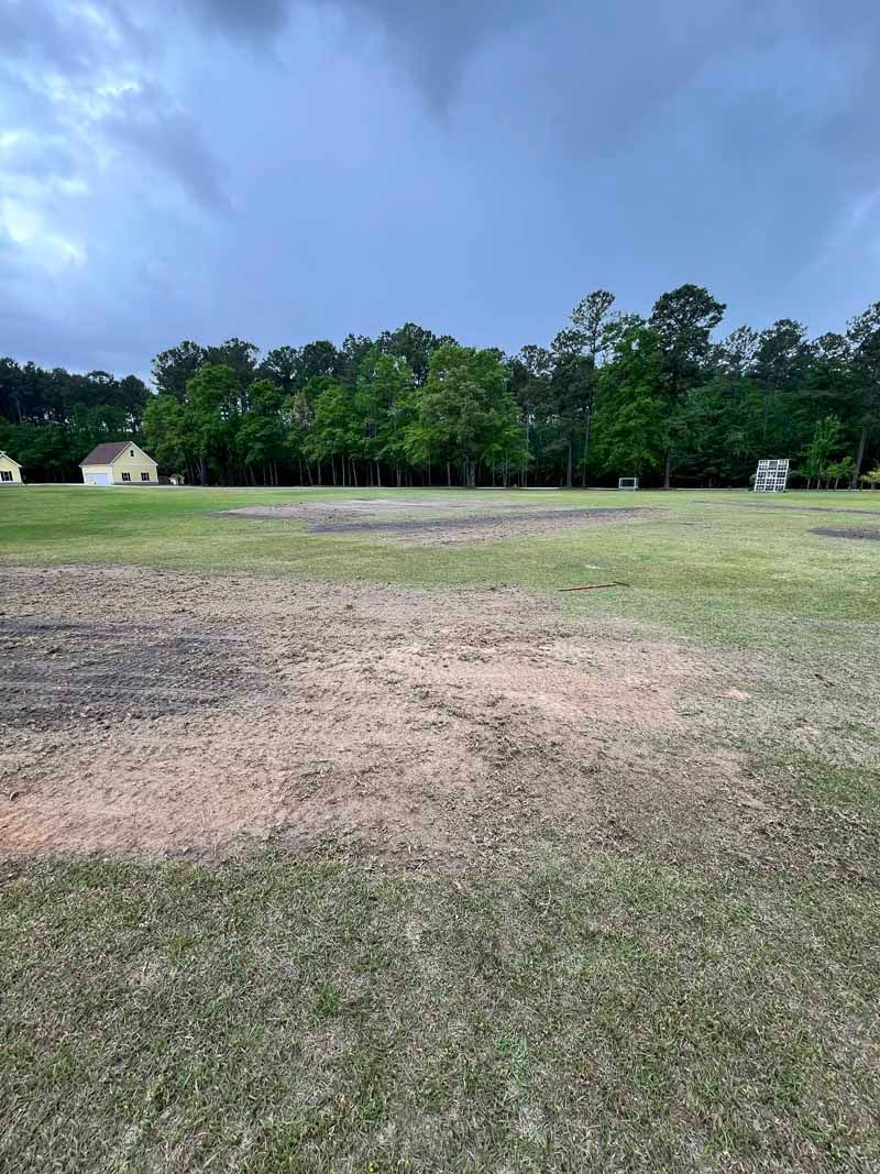 Open grassy field with a tree line under a cloudy blue sky