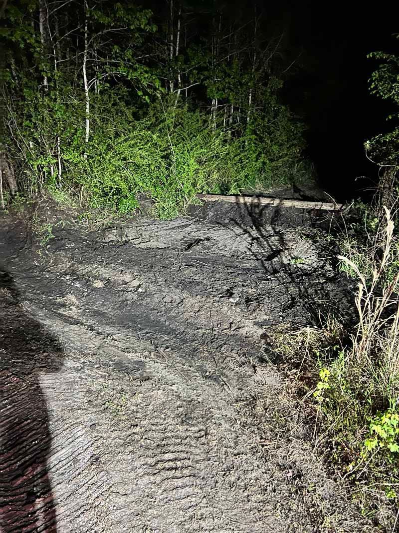 Narrow muddy dirt road at night, lit by a bright light and surrounded by dense vegetation.