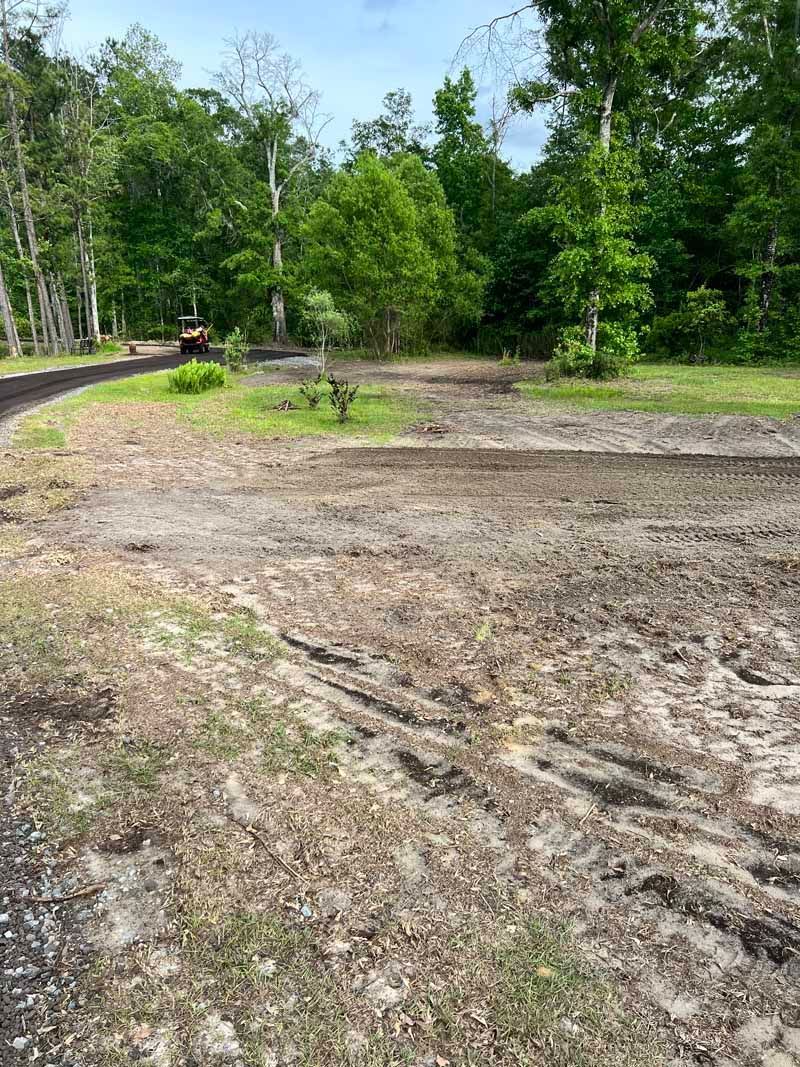 Cleared dirt lot beside a forested path under a bright sky