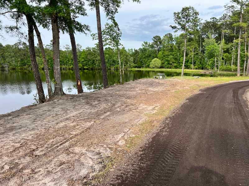 Dirt road beside a calm river with tall trees and grassy banks under a cloudy sky