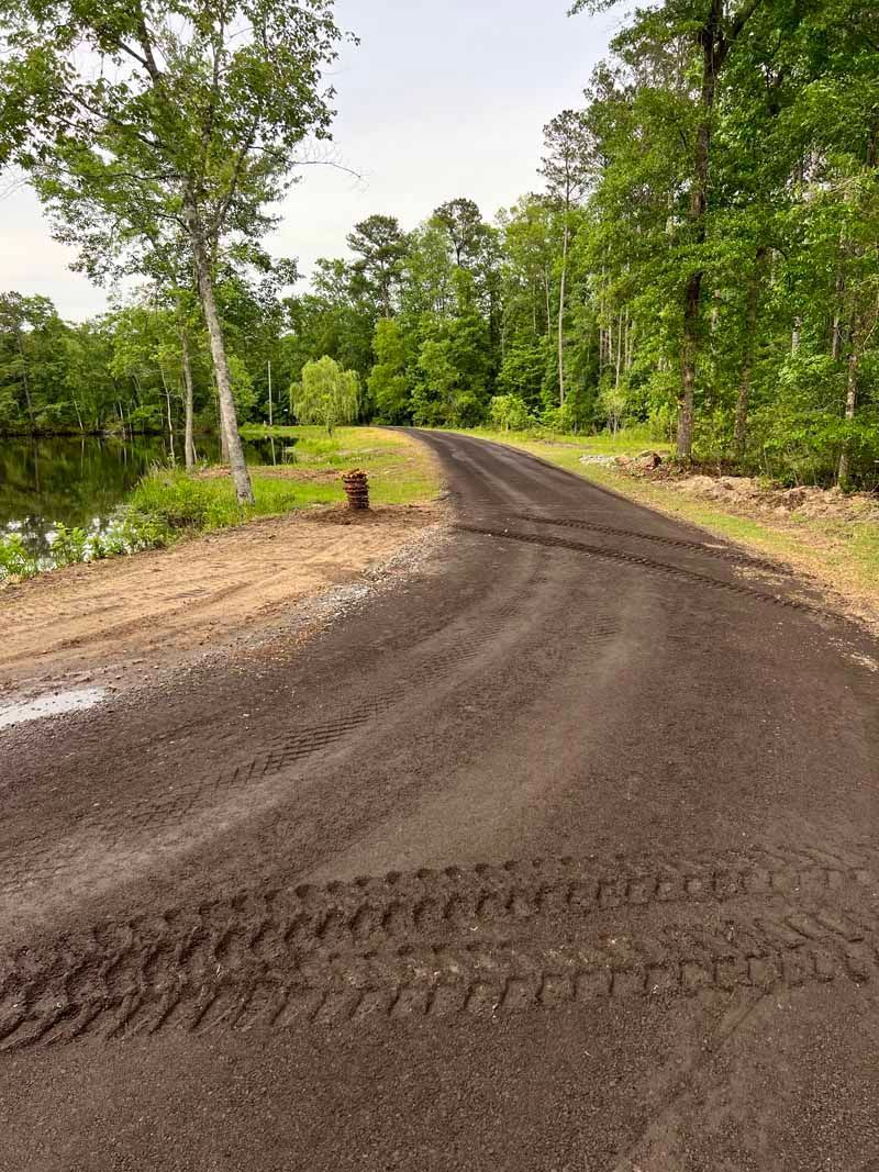 Freshly graded dirt road curving through a green forest under a cloudy sky