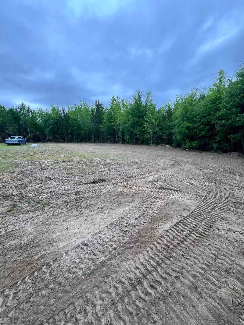 Cleared dirt lot beside dense green trees under a cloudy blue sky, with tire tracks in the foreground